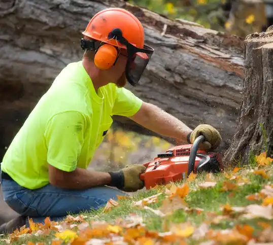 tree services New Vienna